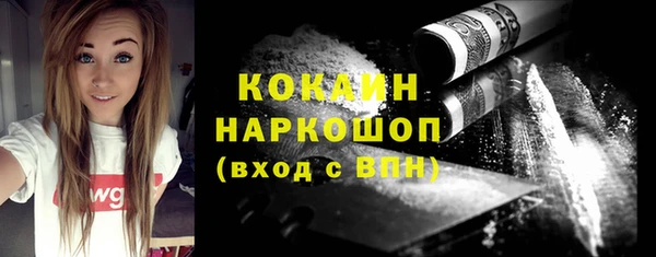 соль ск Белокуриха