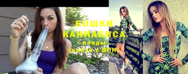 соль ск Белокуриха