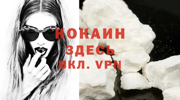 соль ск Белокуриха